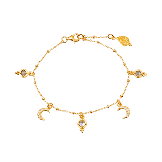 Ananda Soul - Am Whole Armbånd - Gold - Labradorite - Moonstone